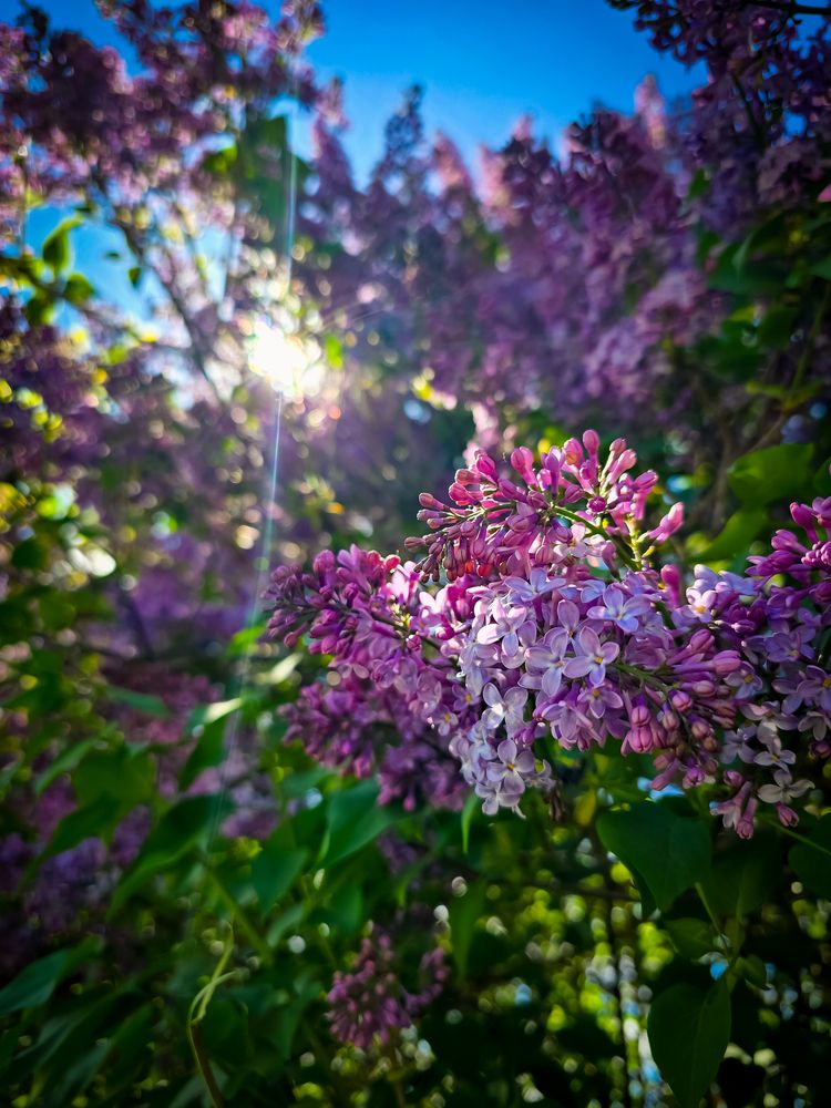 Photograph by Елена Сиушова