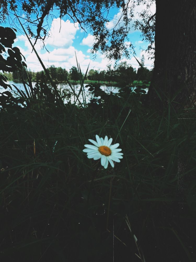 Photograph by Юлия Ханналайнен