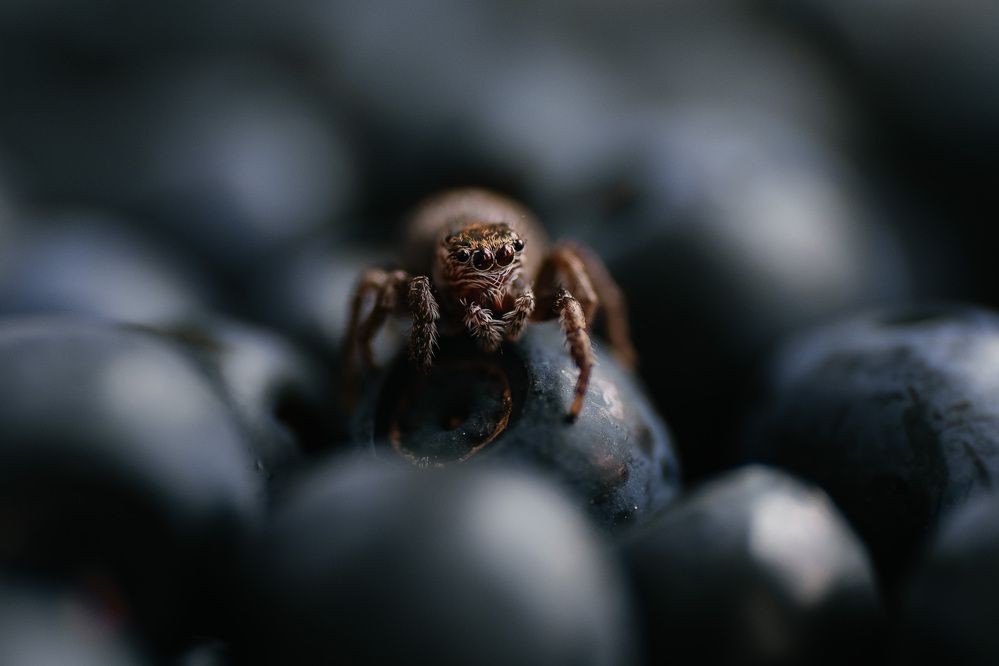 Photograph by Анна Бобкова