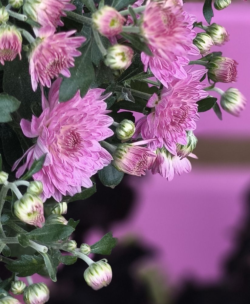 Photograph by Марина Опарина