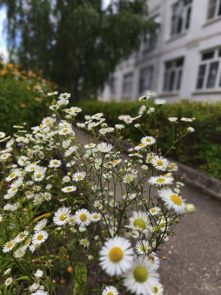 Photograph by Марина Опарина