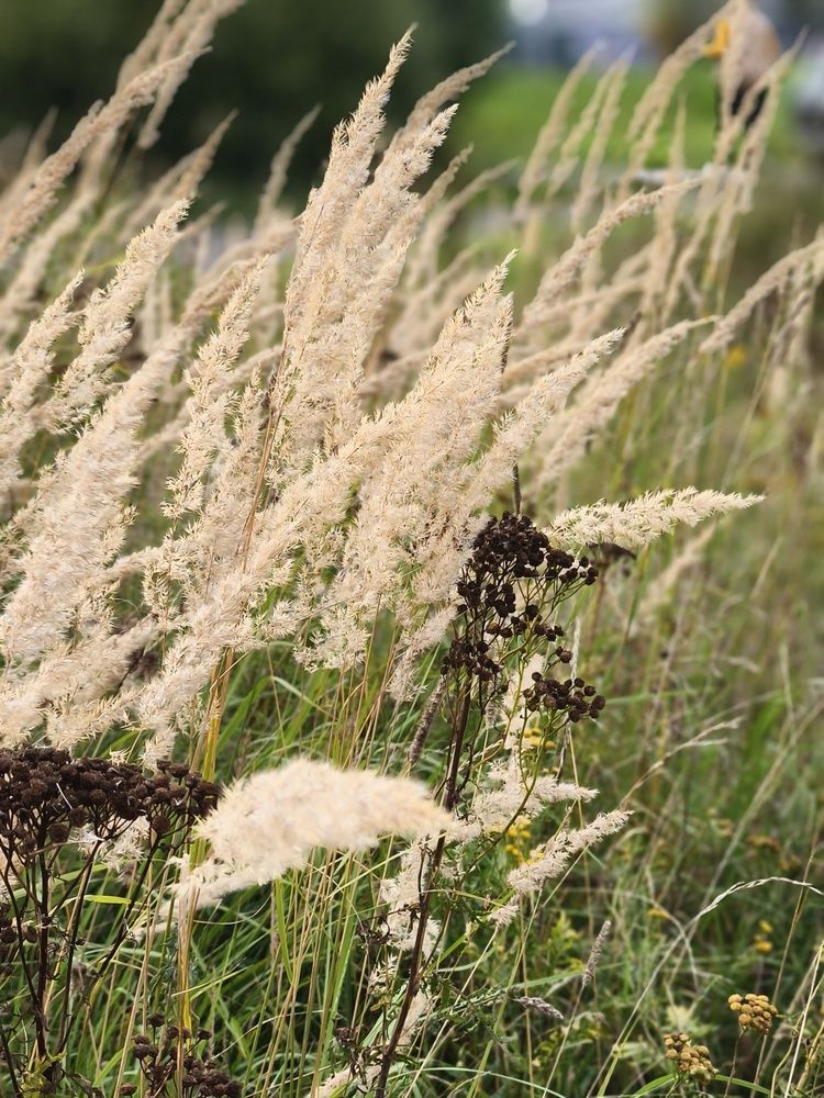 Photograph by Марина Опарина