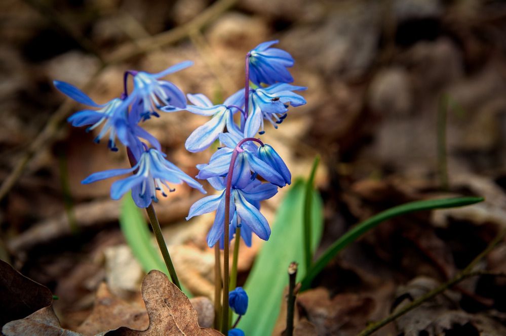 Фотография автора Сергей Степанов