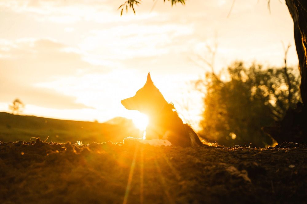 Фотография автора Юлия Бец