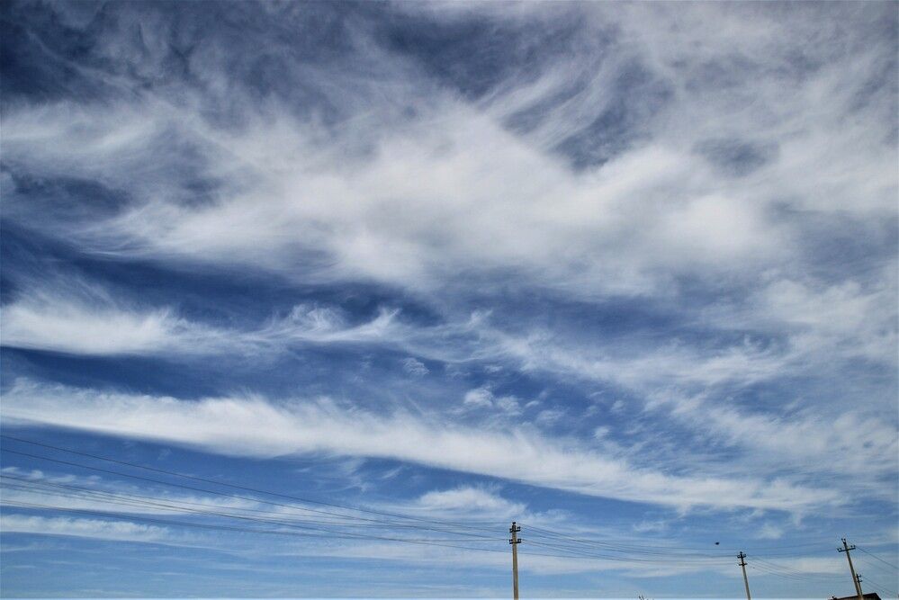 Фотография автора Светлана Терехова