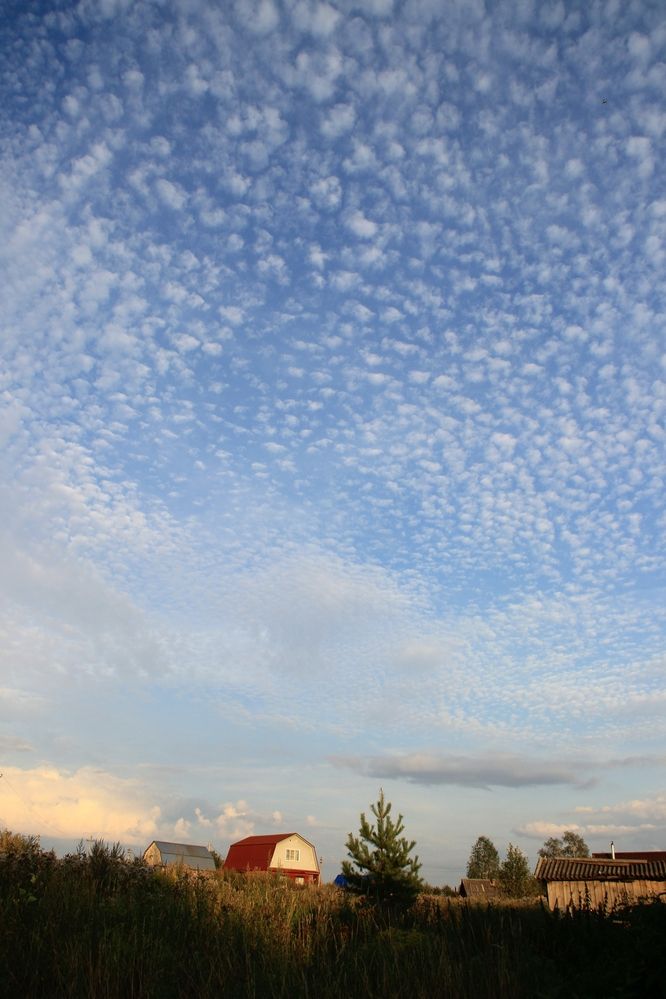 Фотография автора Светлана Терехова