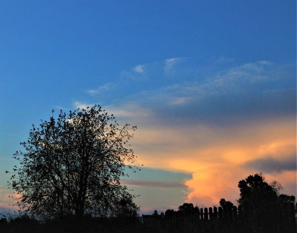 Фотография автора Светлана Терехова