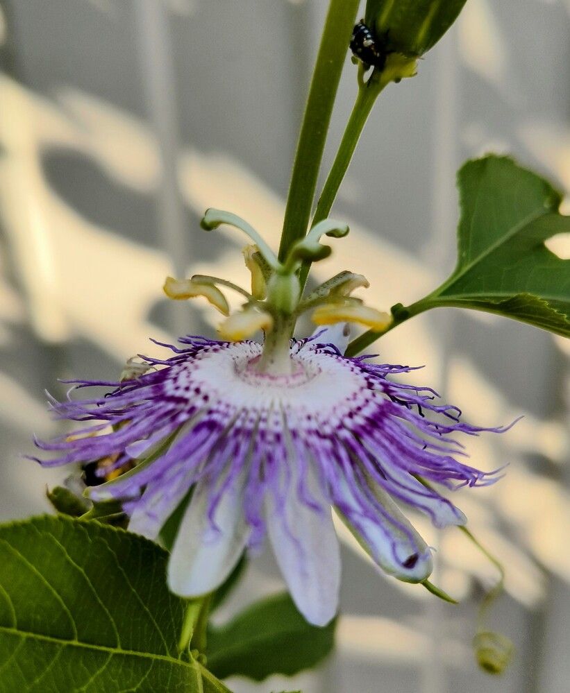 Photograph by Natalya Vasilenko