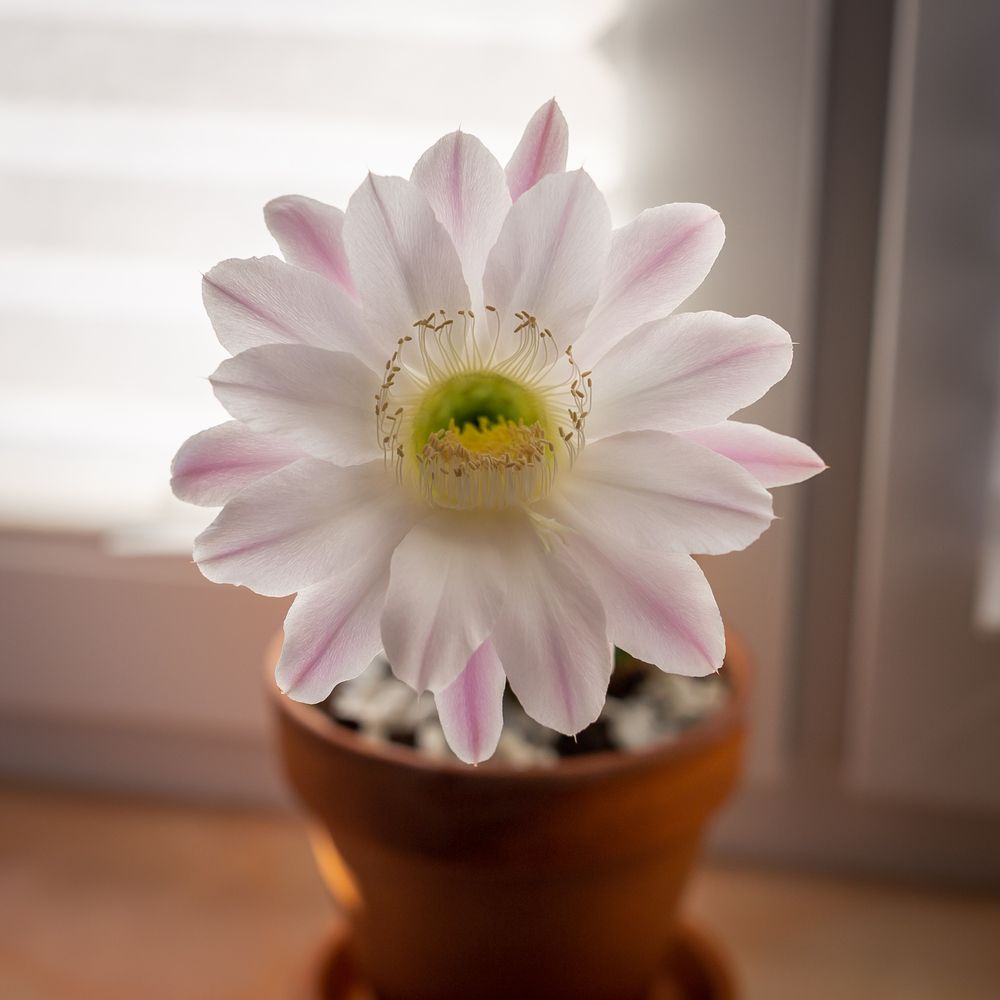 Photograph by Олег Дорошенко