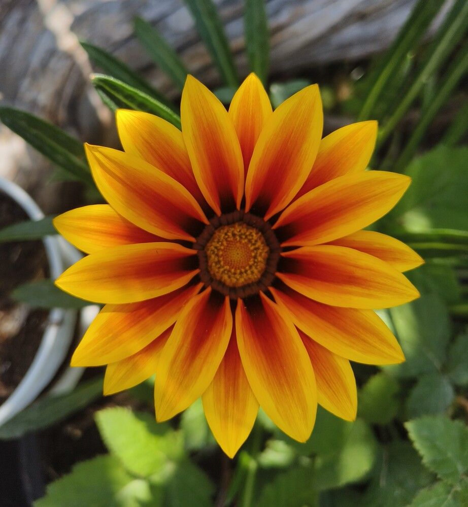 Photograph by Natalya Vasilenko