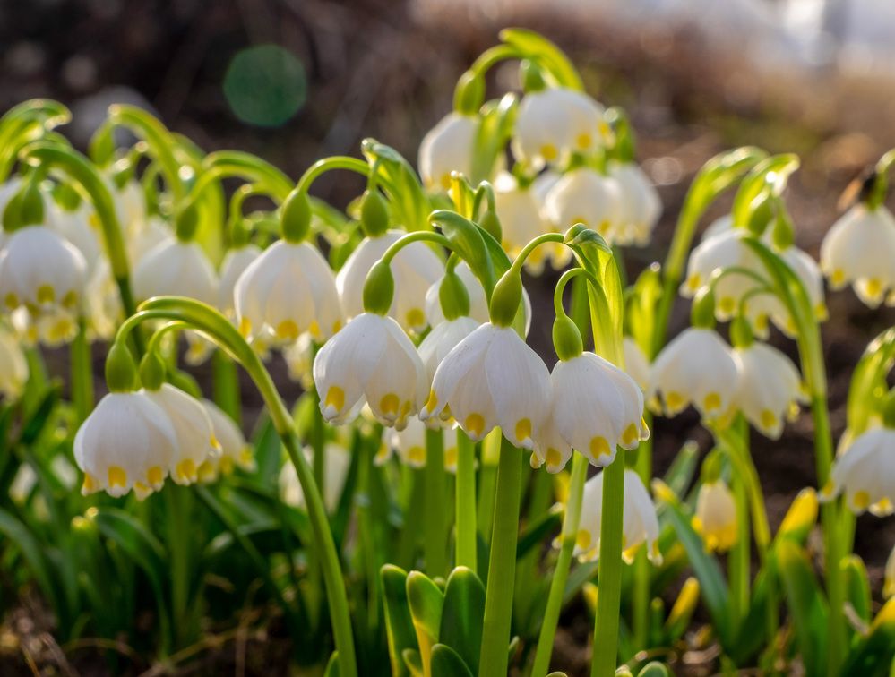 Фотография автора Наталья Липовская
