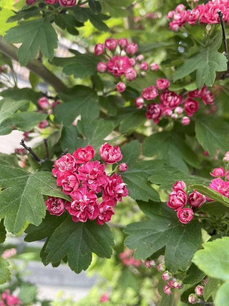 Photograph by Ирина Соловейченко