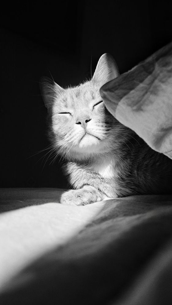 Photograph by Алена Самошина