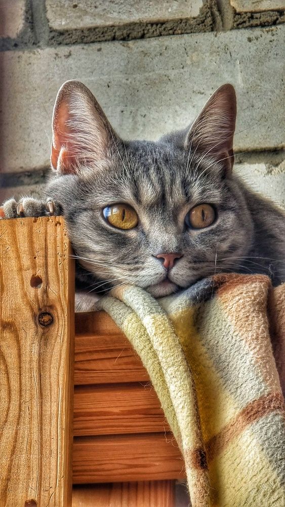 Photograph by Алена Самошина