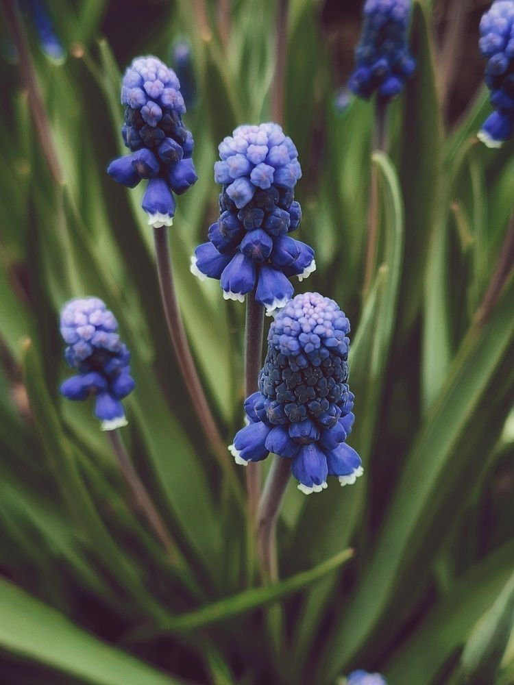 Фотография автора Татьяна Сякина