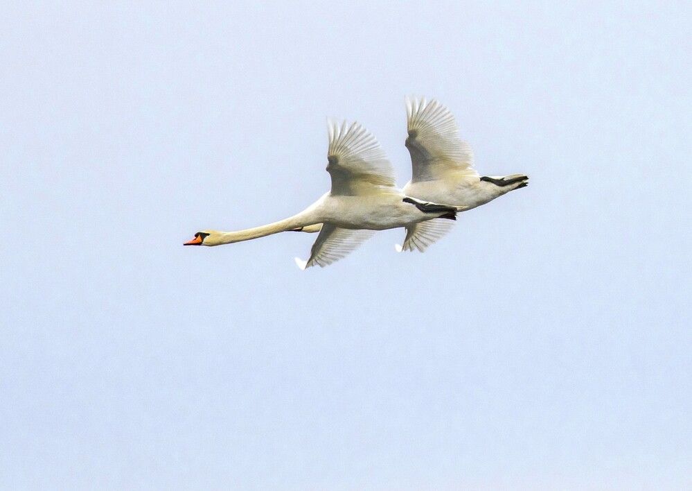 Photograph by Алексей Сиваков