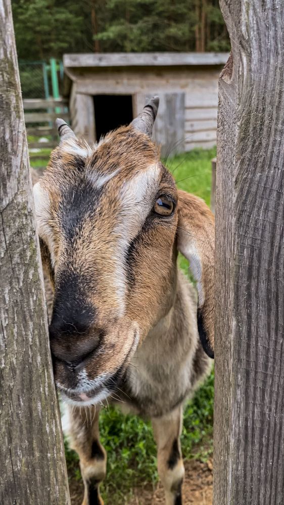Фотография автора Лариса Гришкевич