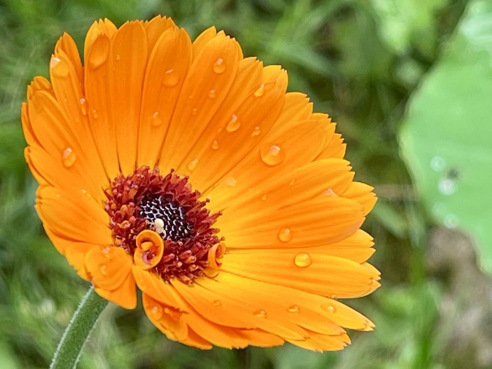 Photograph by Ирина Селиверстова