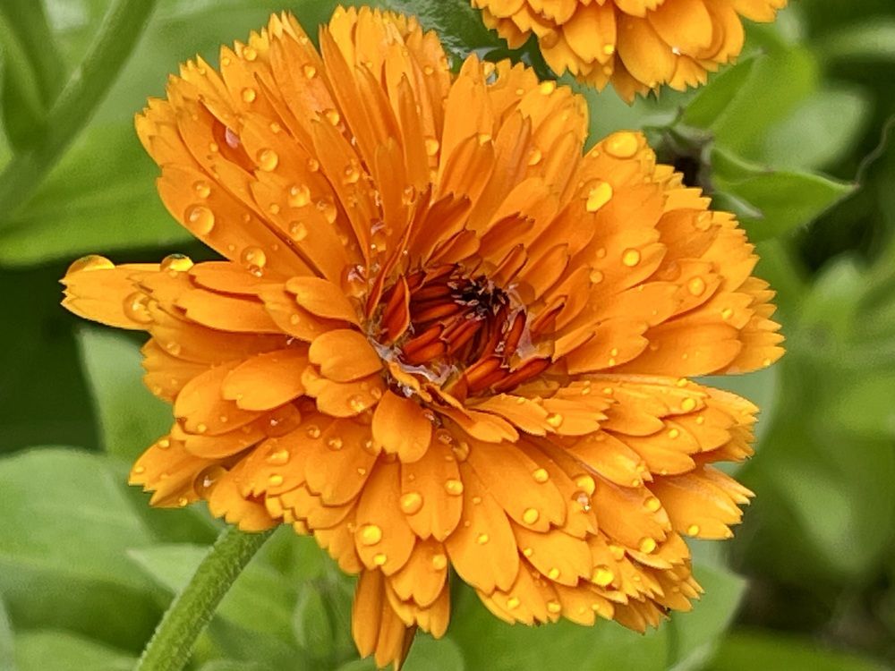 Photograph by Ирина Селиверстова