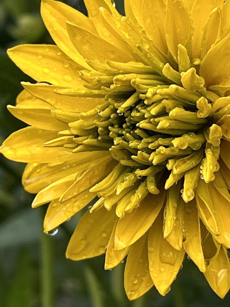 Photograph by Ирина Селиверстова