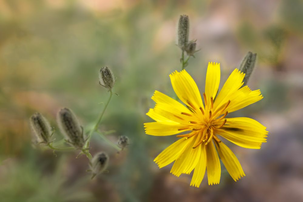 Photograph by Виктор Калинский