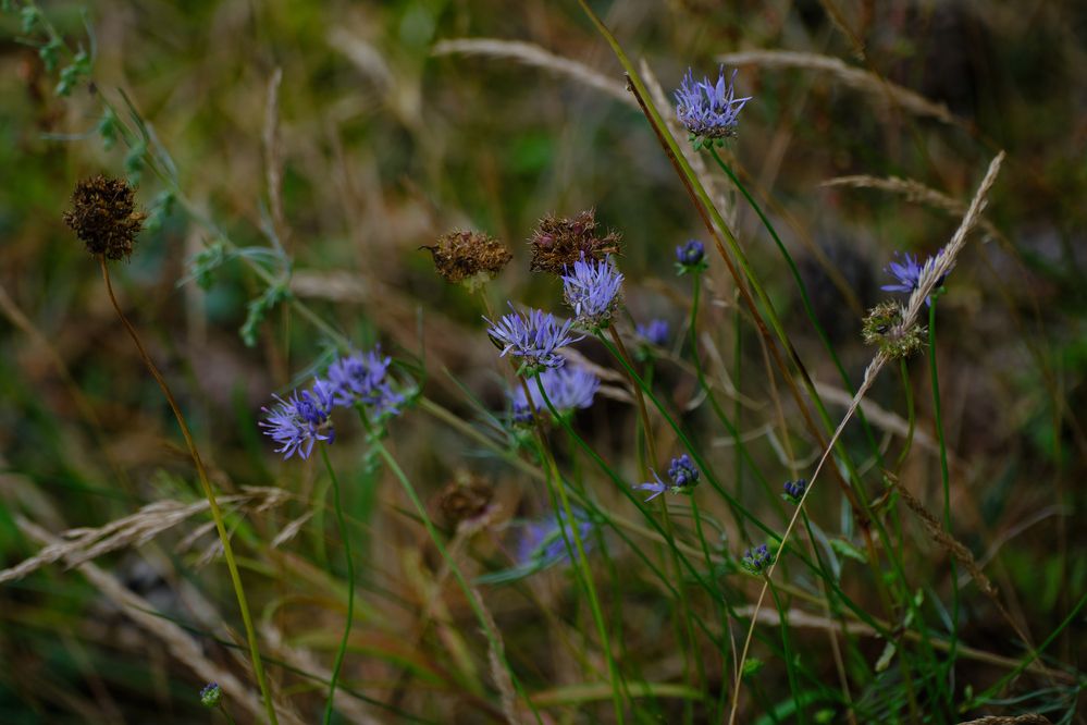 Photograph by Василий Арлашов