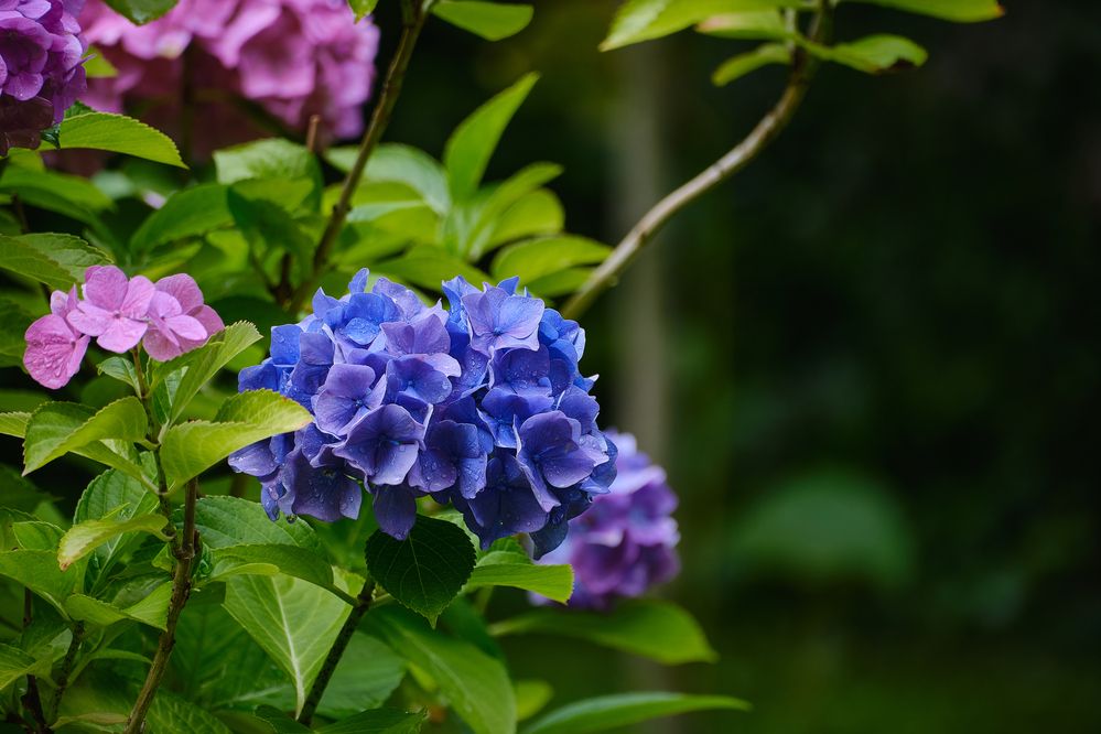 Photograph by Василий Арлашов