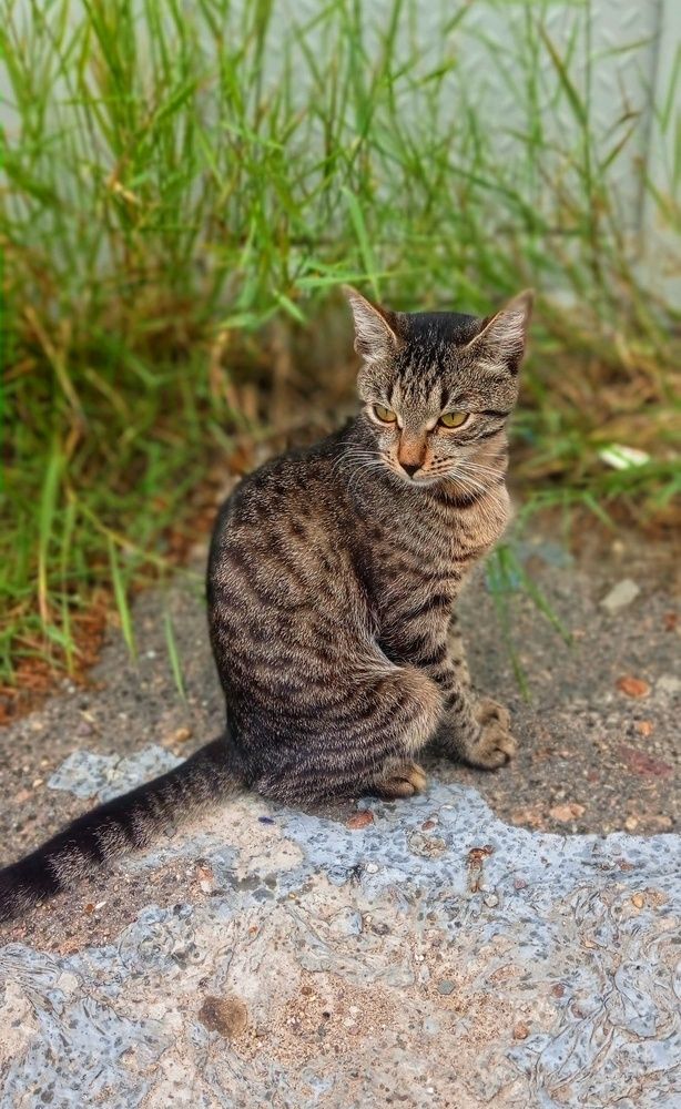 Фотография автора Татьяна Сякина
