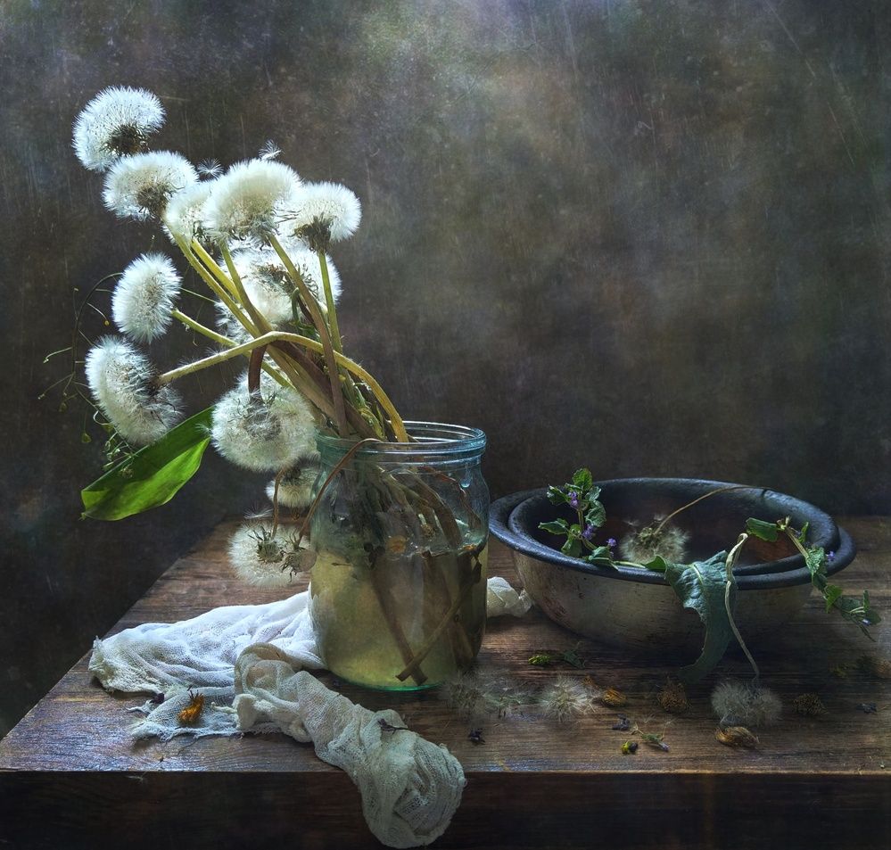 Одуванчики