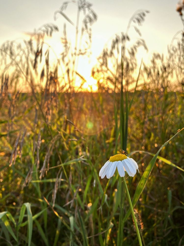 Photograph by Анастасия Позднякова