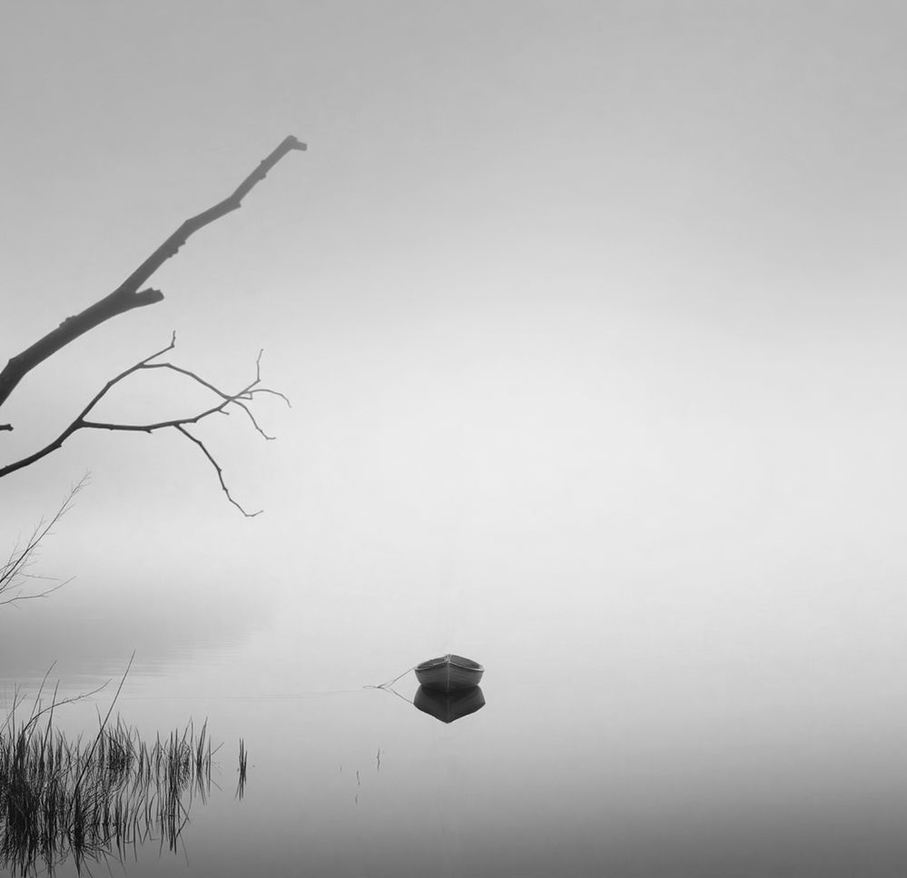 Photograph by Владимир