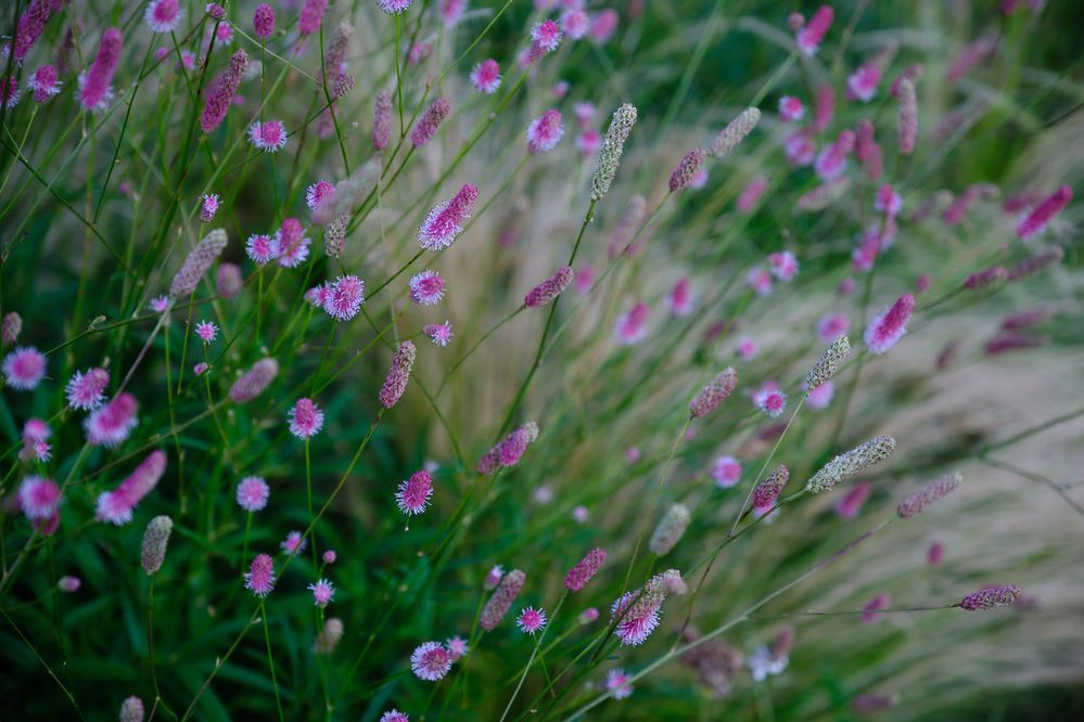 Photograph by Василий Арлашов