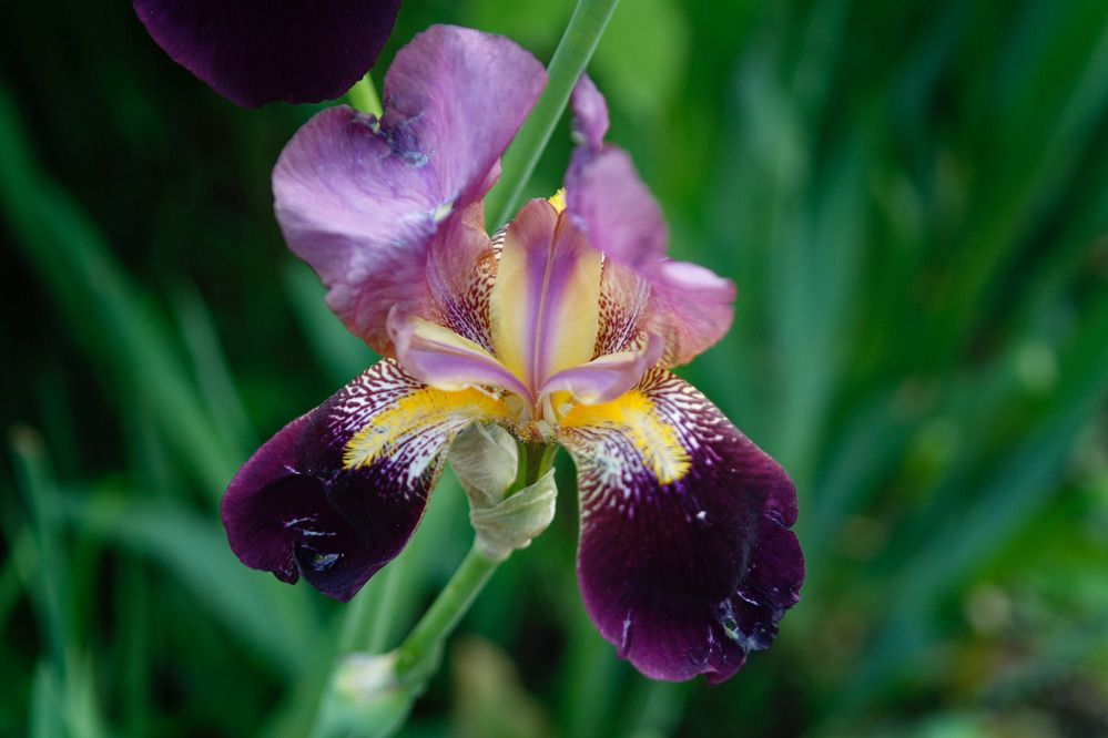 Фотография автора Сергей Степанов