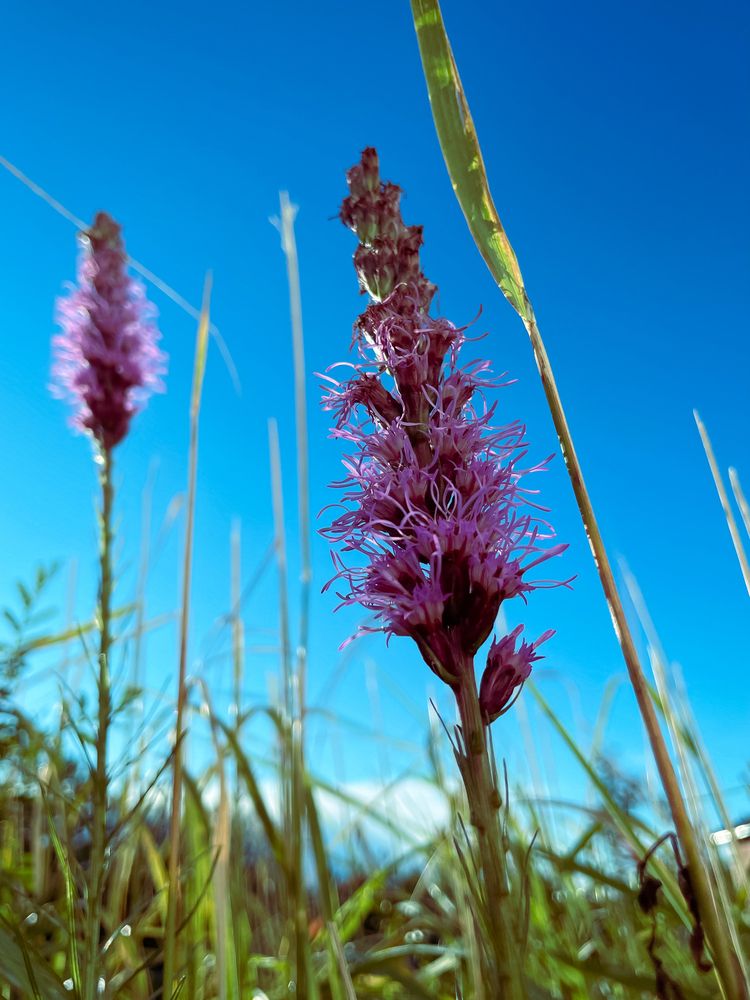 Photograph by Катерина Кирикова