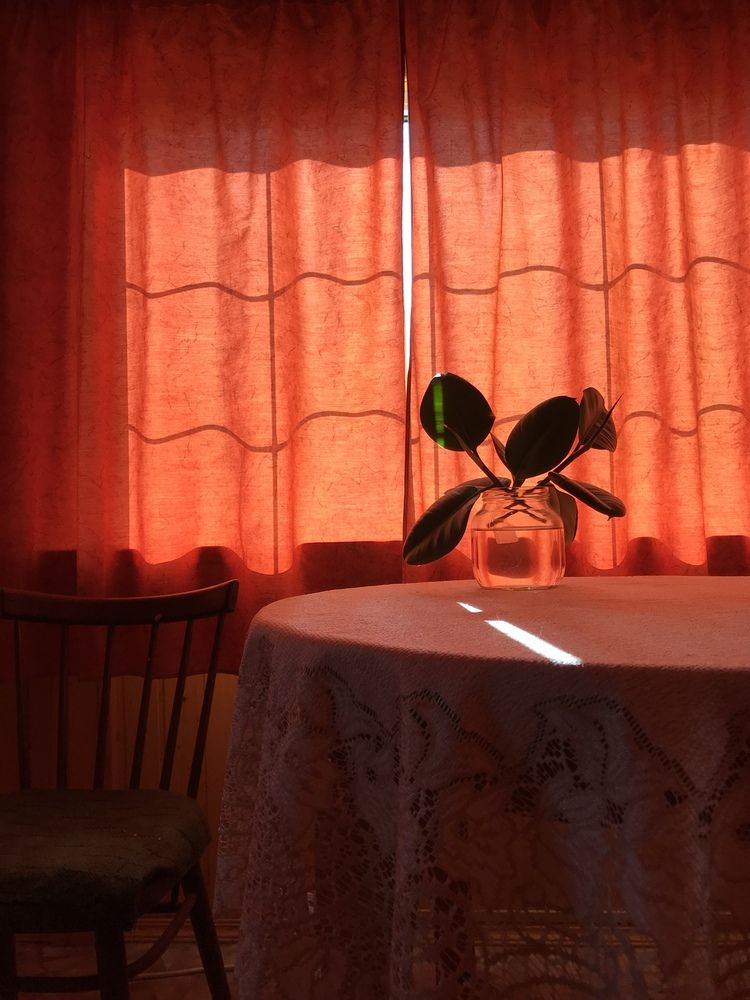 Photograph by Надежда Ткаченко