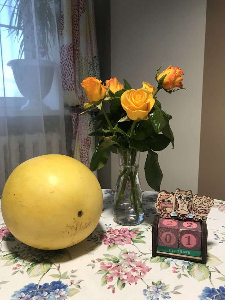 Photograph by Елена Сиушова