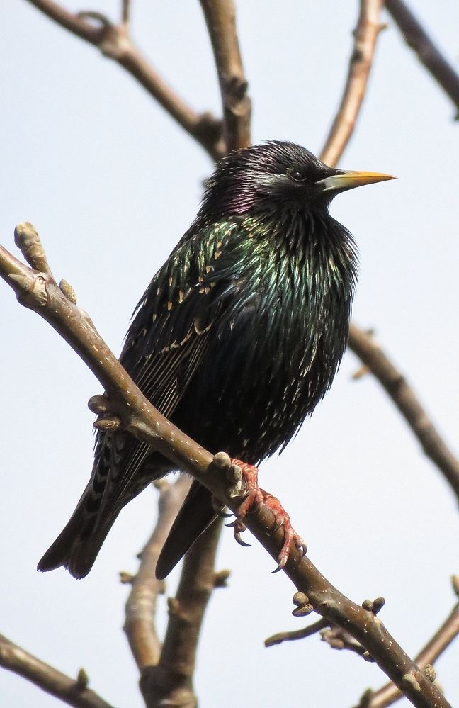 Photograph by Николай