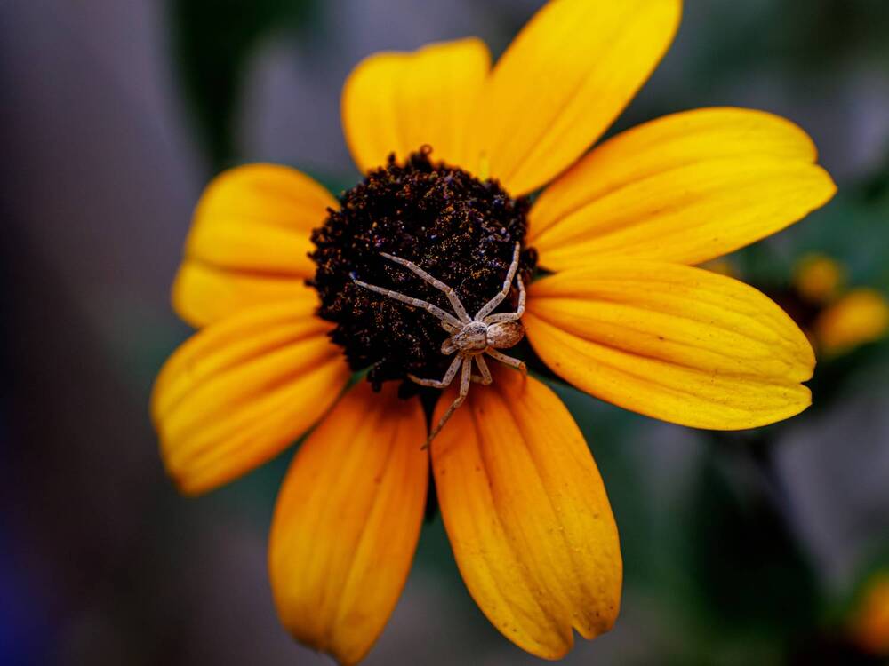 Photograph by Igor Maksimenko