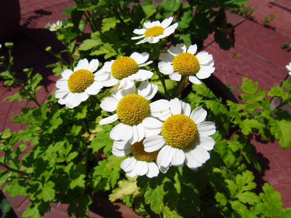 Photograph by Денис Веску