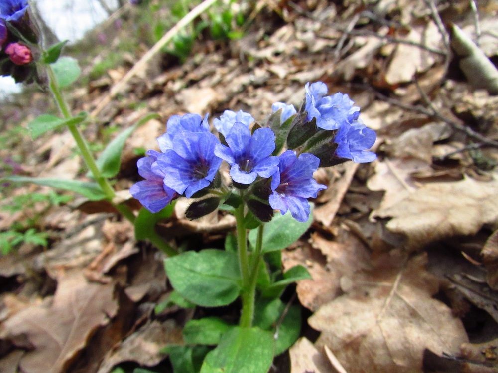 Photograph by Денис Веску