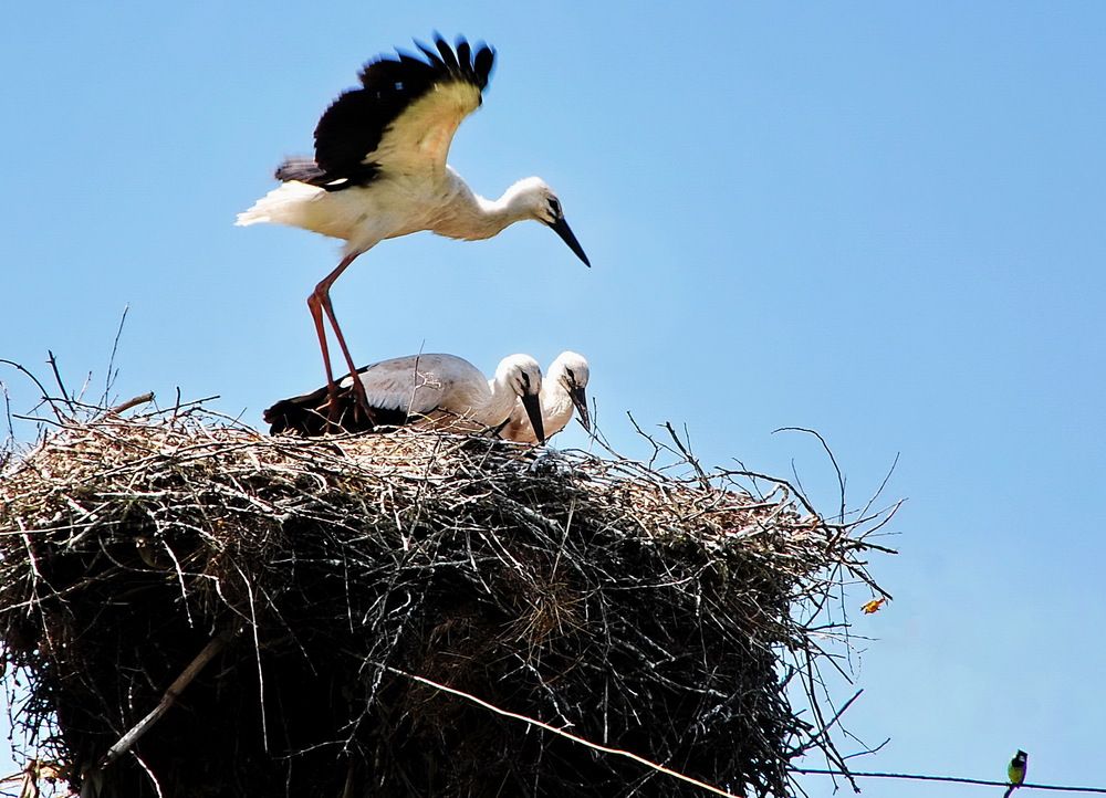 Фотография автора ВЛАДИМИР Тертышник