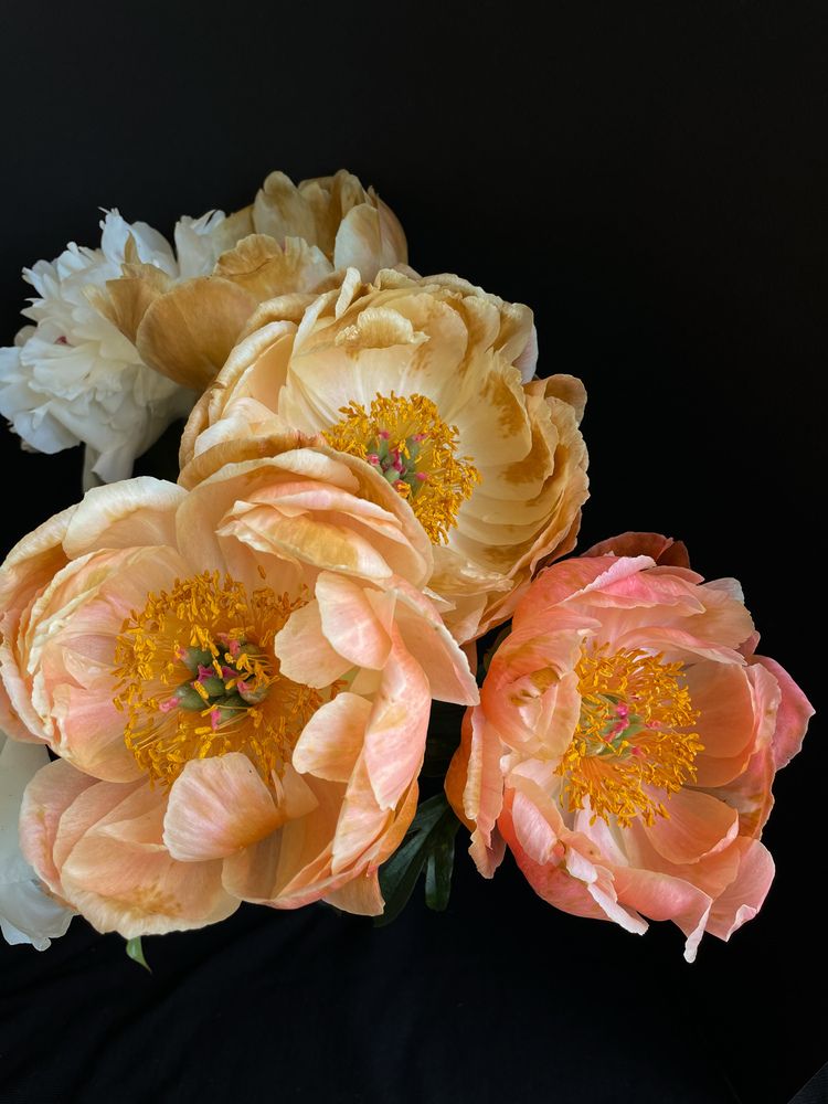 Photograph by Светлана Савина