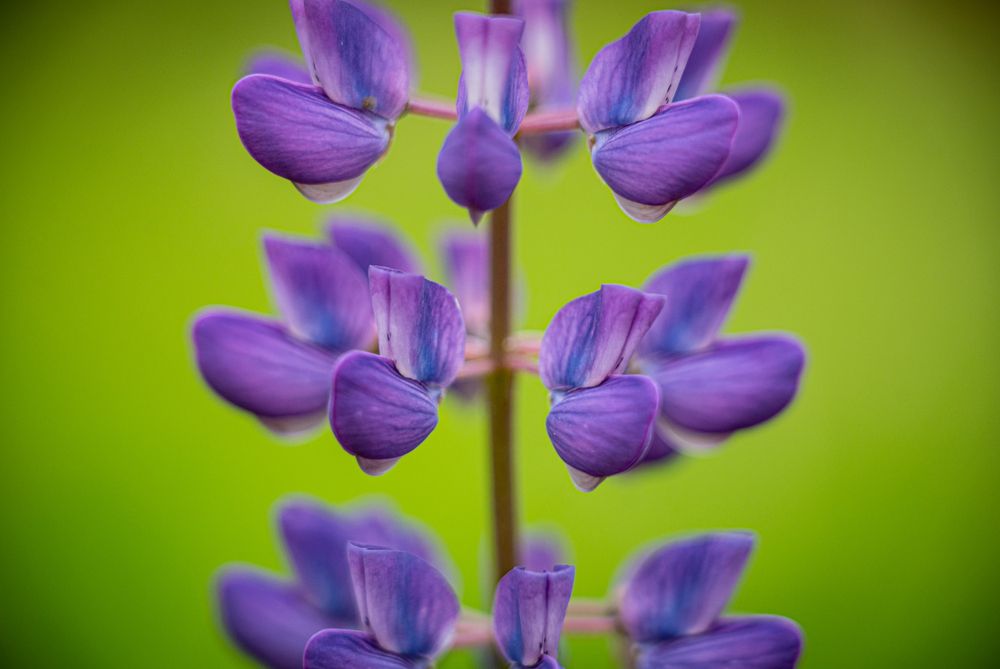 Photograph by Tanzilya Gabidullina