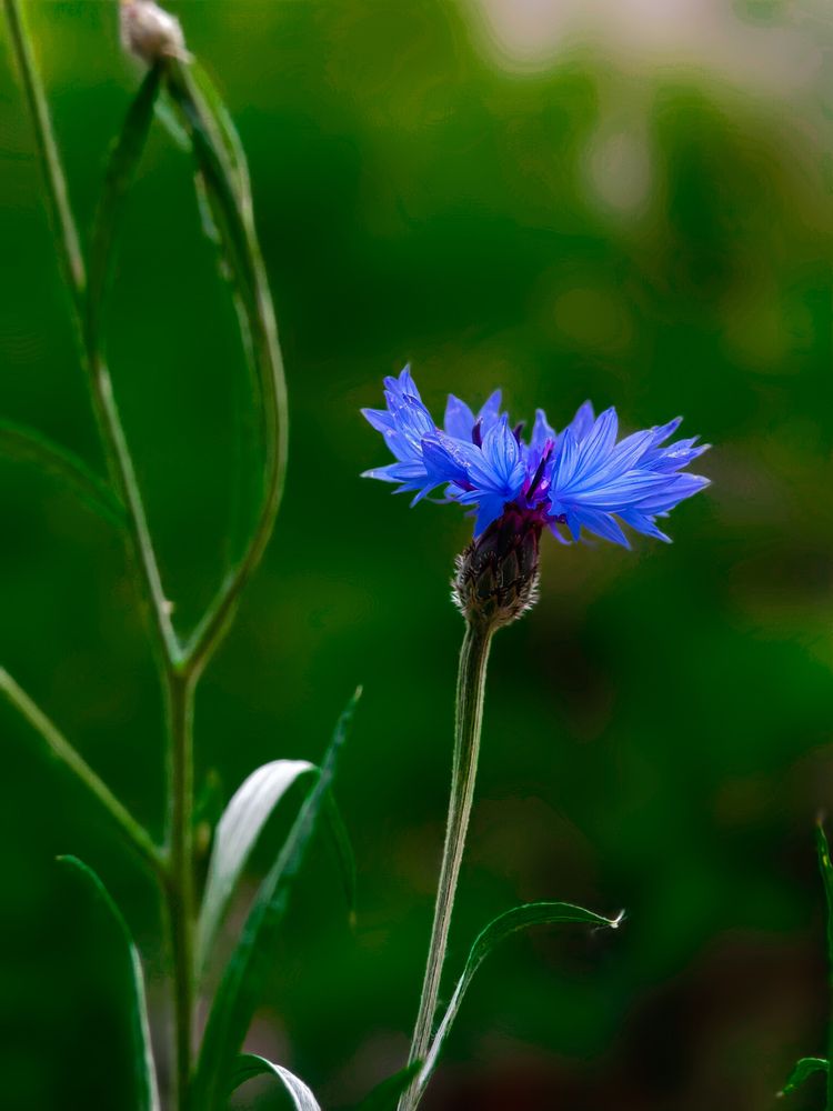 Photograph by Светлана Мишенина