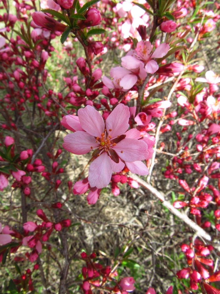 Photograph by Денис Веску