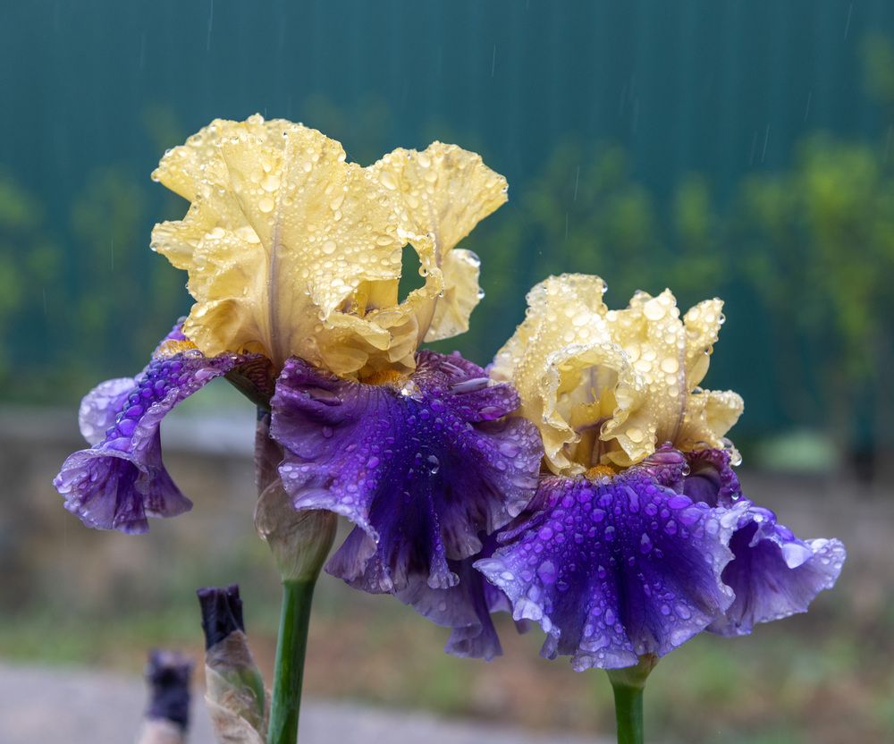 Photograph by Екатерина Крючкова