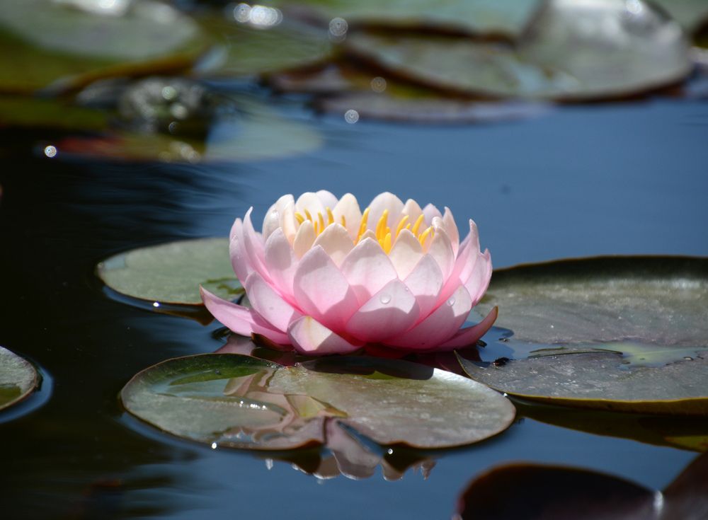 Photograph by Екатерина Крючкова