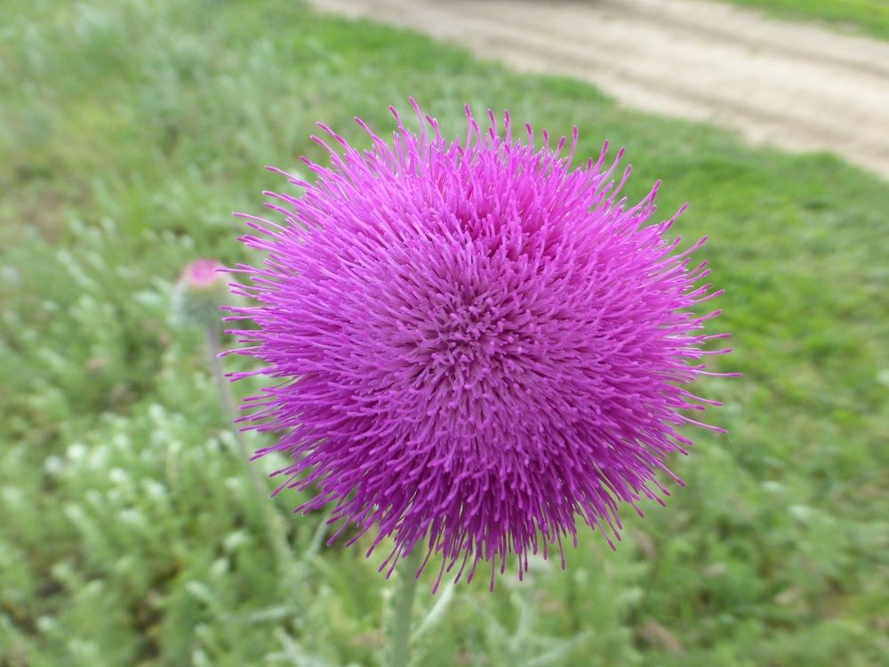 Photograph by Денис Веску