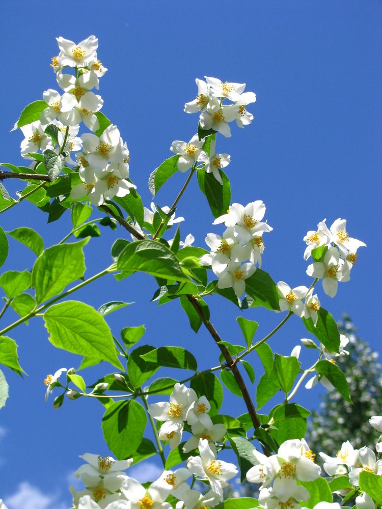 Фотография автора Татьяна Петренко