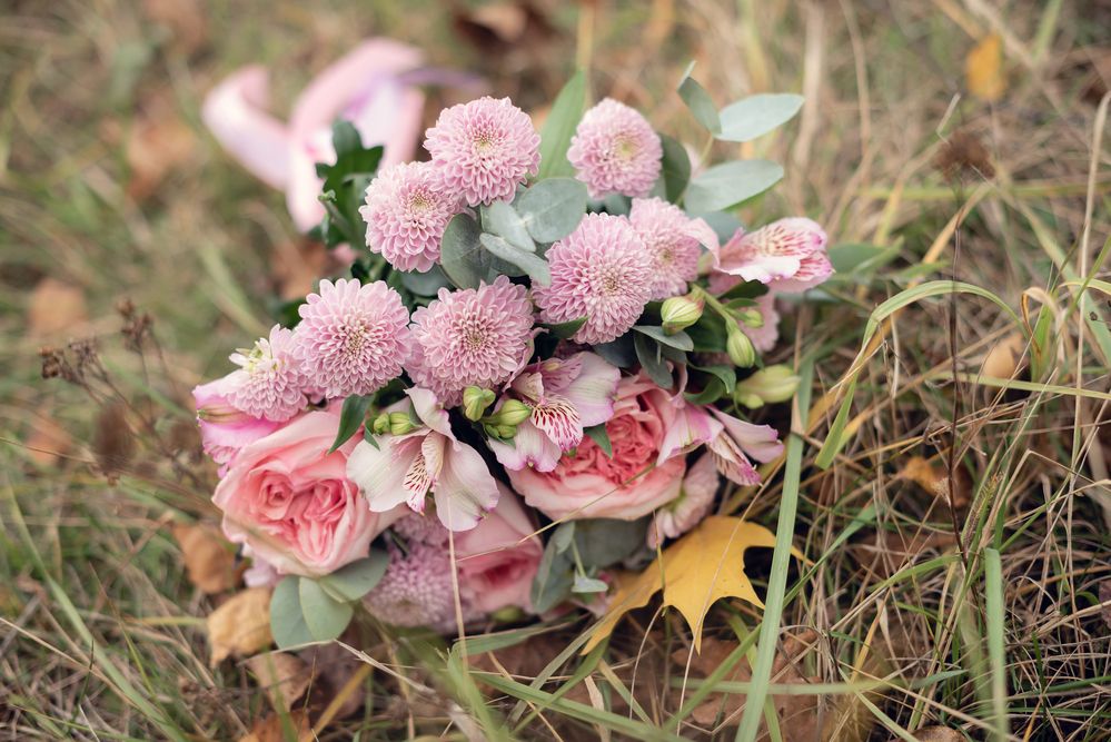 Photograph by Любовь Мызина